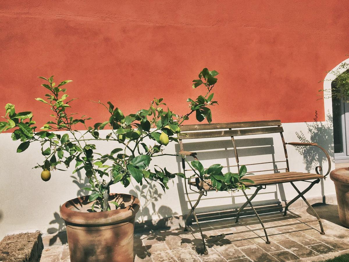 Giardino Dei Sugheri Scarlino Dış mekan fotoğraf